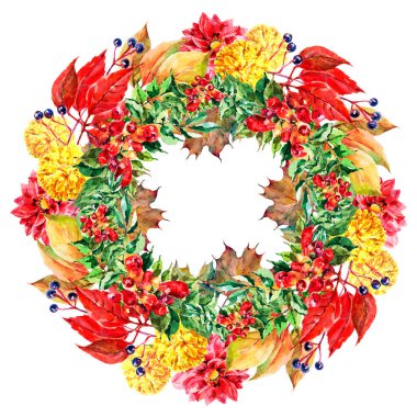 Yapraklı yabani üzümler ve suluboya resimli çiçekler. Sonbahar kompozisyonu. Beyaz arkaplanda resim çelengi.