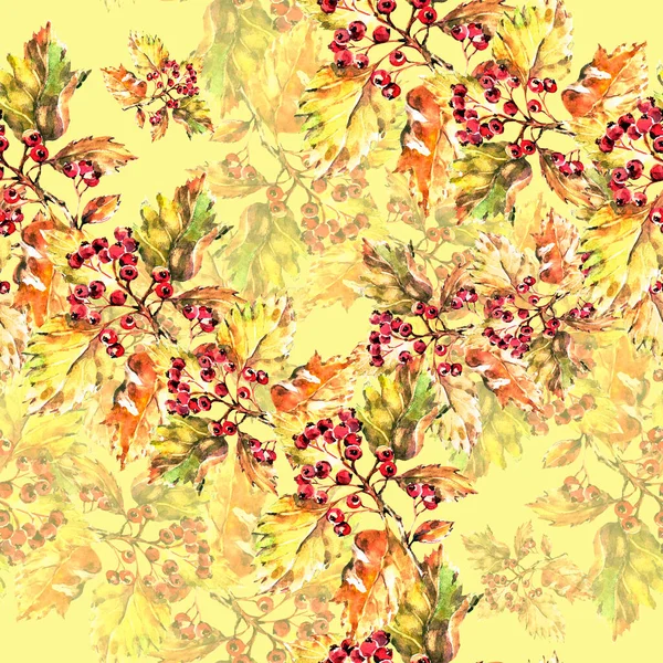 Berry hawthorn with leaves painting in watercolor. Autumn composition. Seamless pattern on yellow background.