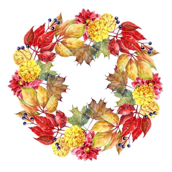 Jagodowe Dzikie Winogrona Liśćmi Kwiatami Malowane Akwarelą Kompozycja Jesienna Ilustracja — Zdjęcie stockowe