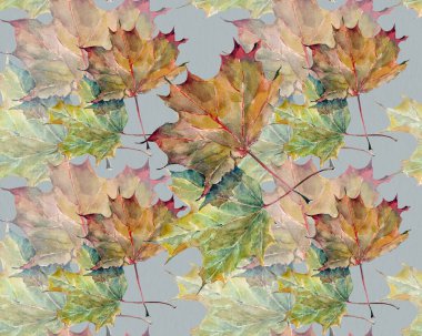 Kusursuz suluboya yapraklar. Gri arka planda akçaağaç dalları. Dekorasyon ve tasarım için güzel desen.