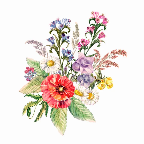 Meadow Flowers Painting Watercolor Bouquet Summer Flowers White Background Illustration — Stock Photo, Image