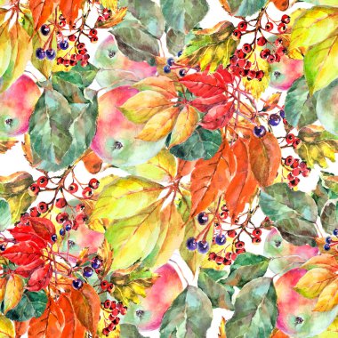 Suluboya elma, suluboya farklı yapraklar ve beyaz arka planda böğürtlen. Sonbahar kompozisyonu. Dekorasyonlar için kusursuz desen.