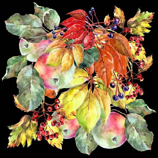 Akvarel Ovoce Jablko Akvarelem Různé Listy Bobule Černém Pozadí Podzimní — Stock fotografie