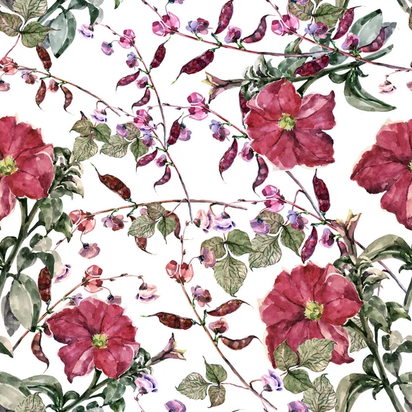 Łąka Kwiaty Haricot Malowaniem Petunia Akwareli Płynny Wzór Białym Tle — Zdjęcie stockowe