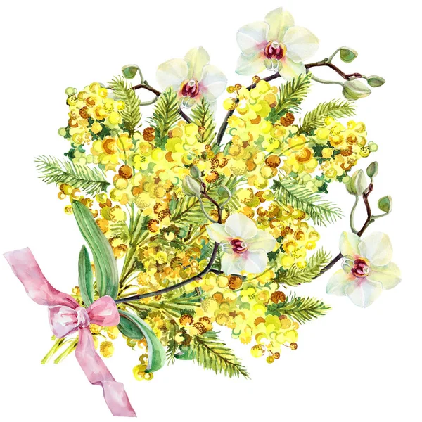 Wiosenne Kwiaty Mimoza Malowaniem Orchidei Akwareli Ilustracja Dekoracji Białym Tle — Zdjęcie stockowe