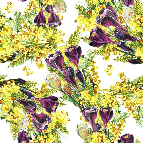 Spring Flowers Mimosa Crocus Painting Watercolor Seamless Pattern White Background — Stock Photo, Image