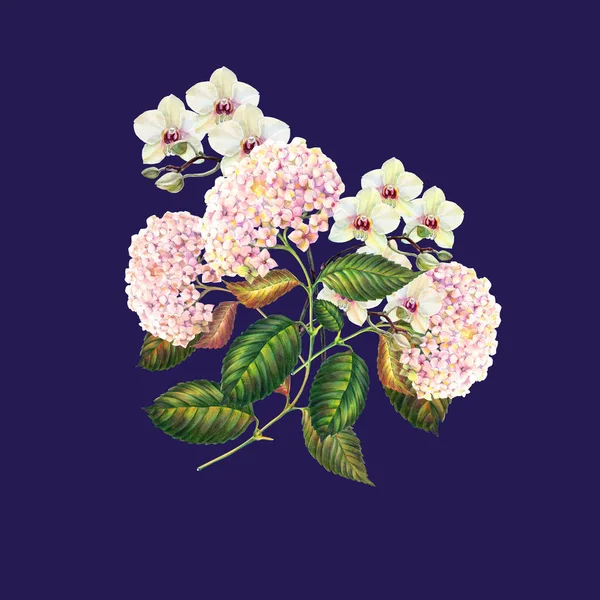 Blumen Orchidee Mit Hortensie Zeichnung Farbstiften Feiertagsstrauß Illustration Auf Dunkelblauem — Stockfoto
