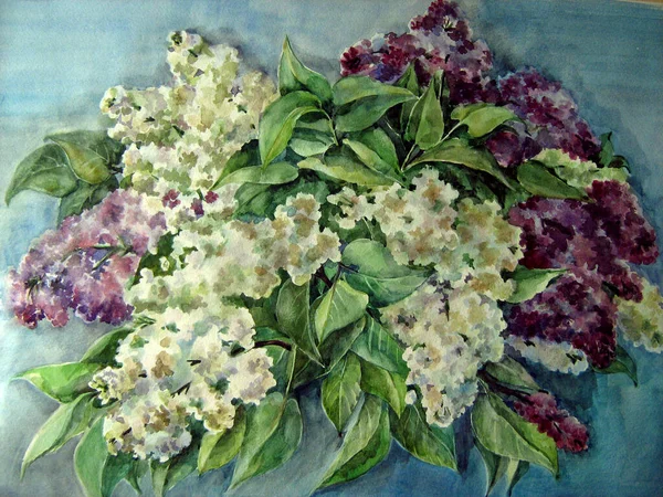 Gartenblumen Fliedermalerei Aquarell Florale Illustration Auf Dunkelblauem Hintergrund — Stockfoto