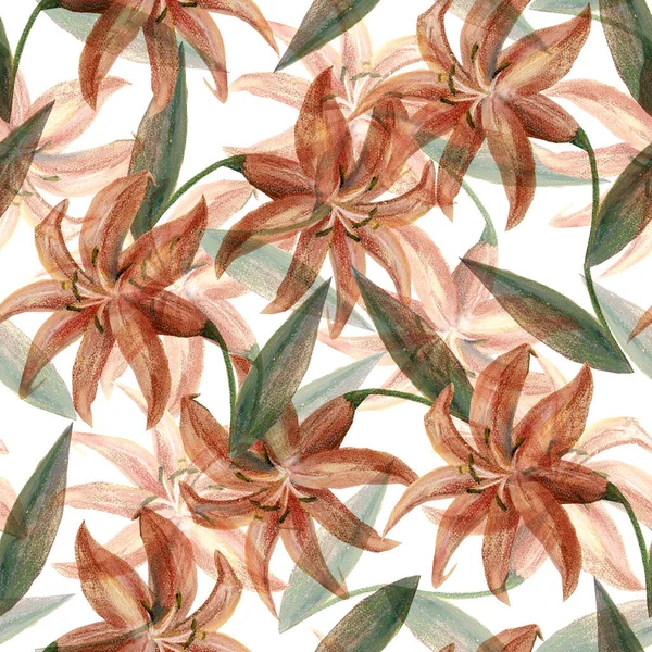 Lírio Flores Com Folhas Que Atraem Lápis Cor Composição Floral — Fotografia de Stock
