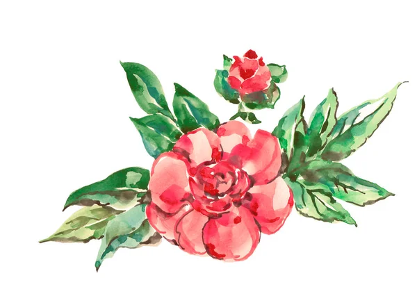 Λουλούδια Κήπου Τριαντάφυλλο Ζωγραφική Ακουαρέλα Όμορφο Σχέδιο Για Διακόσμηση Και — Φωτογραφία Αρχείου