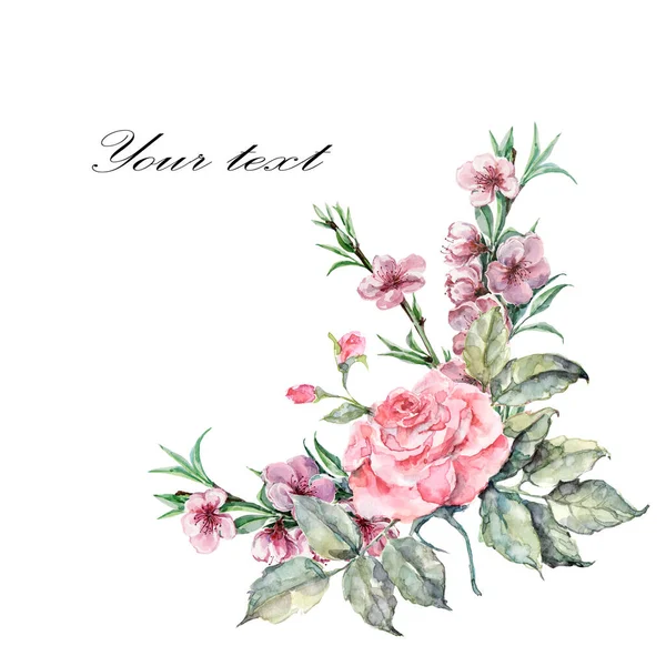 园中的玫瑰 缀有水彩画的桃 装饰和设计的漂亮角落 白色背景的植物图解 — 图库照片