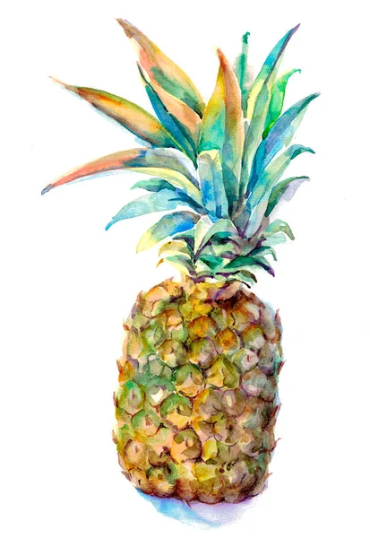 Ananas Avec Des Feuilles Peintes Aquarelle Sur Fond Blanc Illustration — Photo