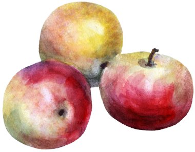 Beyaz arka planda suluboya elma tasviri. Dekorasyon ve tasarım için güzel desen. 