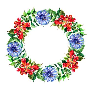 Yapraklı suluboya çiçeklerin tasviri. Beyaz arka planda çiçeklerin çelengi. Sevgililer Günü için dekorasyon ve tasarım için güzel desen.