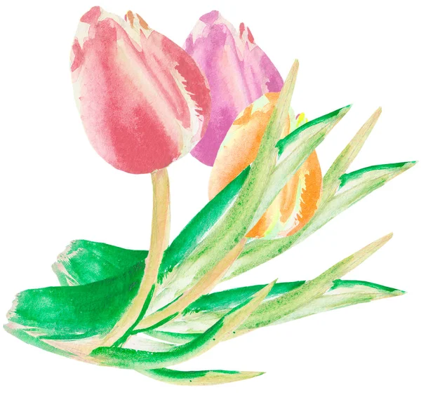 Illustration Von Aquarellblumen Tulpe Auf Weißem Hintergrund Schönes Urlaubsmuster Für — Stockfoto