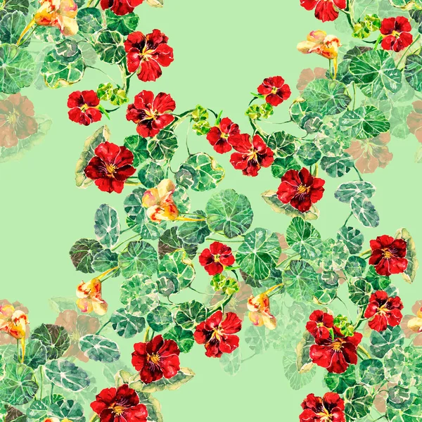 Садовые Цветы Настурция Окрашены Акварель Бесшовный Рисунок Зеленом Фоне Иллюстрация — стоковое фото