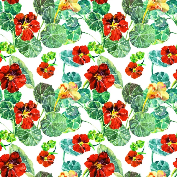 Fleurs Jardin Nasturtium Peint Aquarelle Modèle Sans Couture Sur Fond — Photo