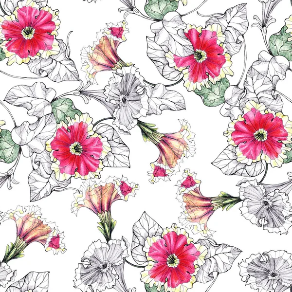 Flowers with leaves draw with colored pencils and ink. Spring composition. Seamless pattern on white background.