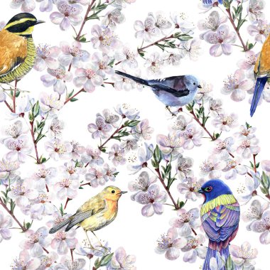 Beyaz arka planda bahar çiçekleri olan suluboya kuşlar. Dekorasyonlar için kusursuz desen.