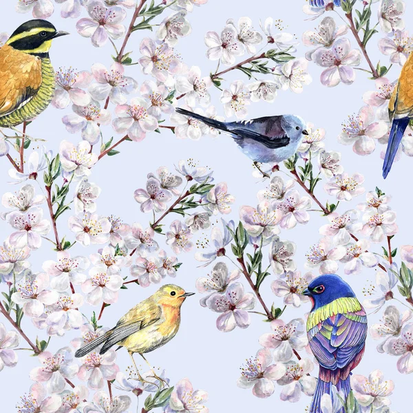Akwarela Różne Ptaki Wiosennych Kwiatów Sakura Niebieskim Tle Płynny Wzór — Zdjęcie stockowe