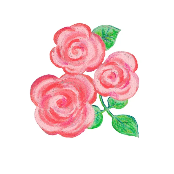 Rose Pastello Foglie Sfondo Bianco — Foto Stock