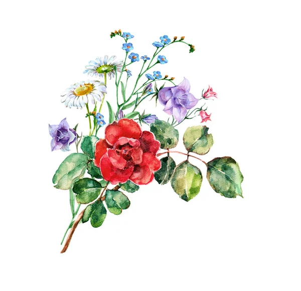 Akvarel Malba Květin Šarlatové Růže Vzor Bílém Pozadí — Stock fotografie