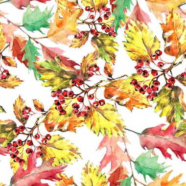 Suluboya, beyaz arka planda böğürtlen ile farklı dallar bırakır. Dekorasyonlar için kusursuz desen.