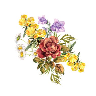 Beyaz arka planda suluboya çayır çiçekleri. Kart için romantik buket.