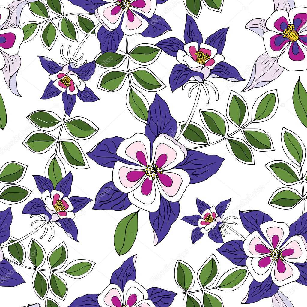 Garden flowers columbine with leaves on white background. Floral vector seamless pattern.