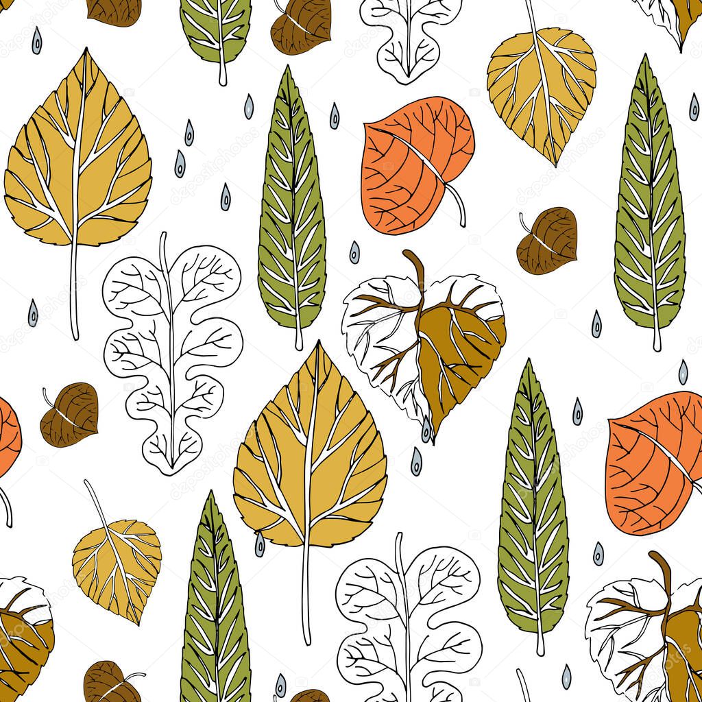 Autumn pattern from different decorative leaves for design. Seamless pattern on a white background. Vector illustration.