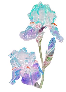 Beyaz arka planda mavi göz. Dekorasyon çizimi.