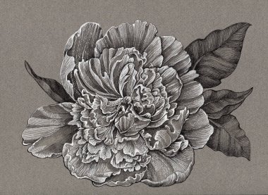 Dekoratif çiçek şakayığı ve söğüt yapraklı tasarım. Çiçeklerin süsleri ve koyu bir arka planda yapraklar. Çiçeksiz desen