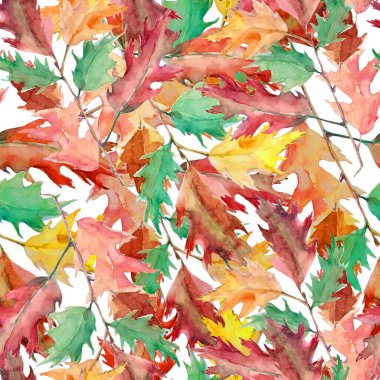 Meşe dalı, suluboya, desensiz