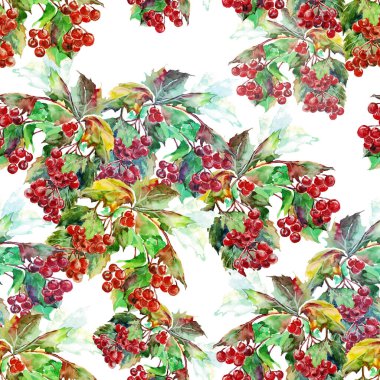 Suluboya kırmızı viburum. Beyaz arkaplanda pürüzsüz desen. 