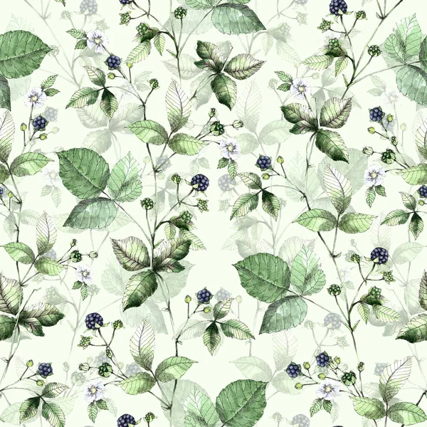 Beyaz arka planda böğürtlenli suluboya çiçekler. Kusursuz desen.