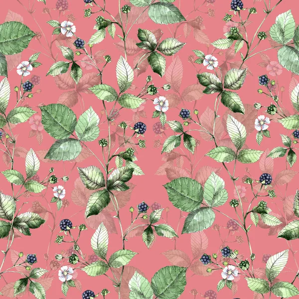 Akvarell Virágok Bogyó Szeder Rózsaszín Háttér Zökkenőmentes Minta — Stock Fotó