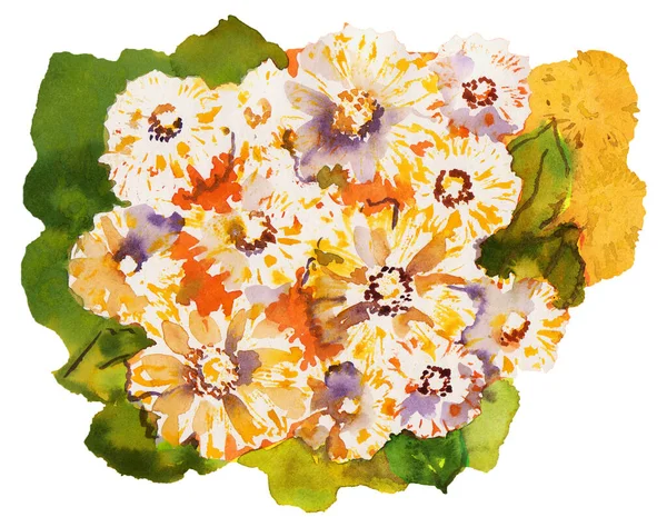 Aquarel Bloemen Witte Achtergrond Illustratie Voor Ontwerp — Stockfoto