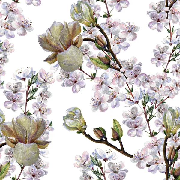 Suluboya Beyaz Arka Planda Farklı Çiçekler Açar Dekorasyonlar Için Kusursuz — Stok fotoğraf