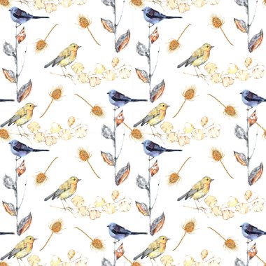 Çayırlık kuru çiçekler ve suluboya boyayla boyanmış kuşlar. Beyaz arka planda kusursuz desen. Dekorasyon için resim.