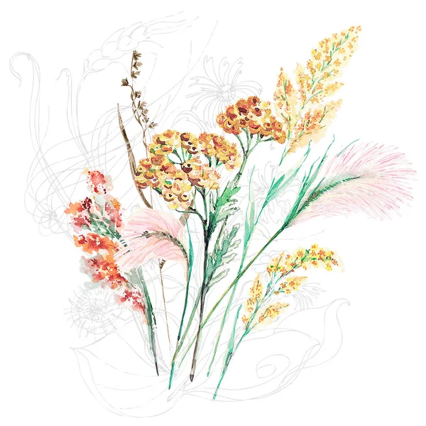 Grasbloemen Geschilderd Aquarel Witte Achtergrond Illustratie Voor Decoratie — Stockfoto