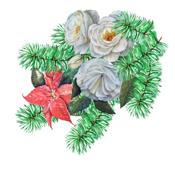 水彩缤纷的白玫瑰和红点缀着分枝松树的白色背景 装饰的构图 — 图库照片