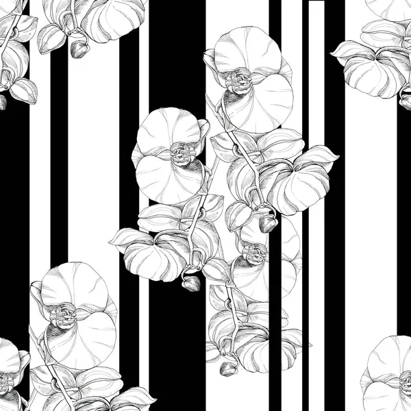 Orchidée Fleurs Graphiques Pour Impression Design Ornement Monochrome Motif Sans — Photo