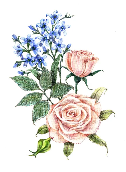 Flores Jardín Rosa Pintadas Acuarela Con Flores Azules Sobre Fondo —  Fotos de Stock