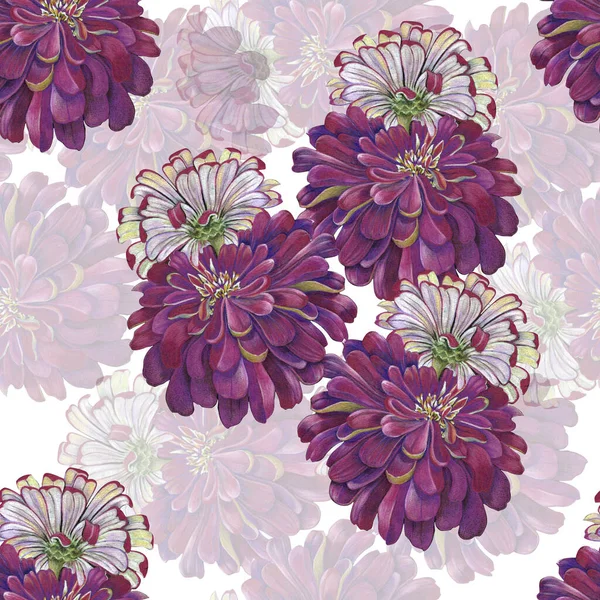 Gartenblumen Zinia Aquarell Gemalt Floral Nahtlose Muster Auf Weißem Hintergrund — Stockfoto