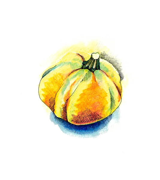 Citrouille Décorative Pour Halloween Sur Fond Blanc Illustration Vacances — Photo