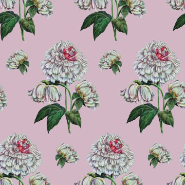 Beyaz Şakayık, renkli kalem