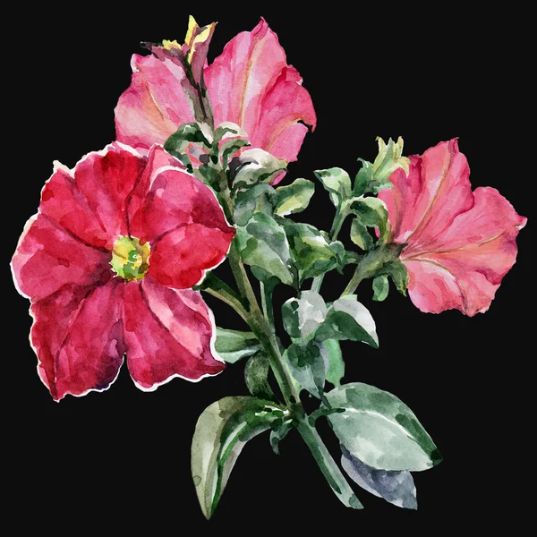 Red petunia, branch, watercolor — Stock Photo, Image