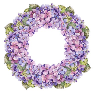 Ortanca çiçek suluboya