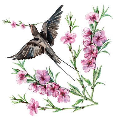 Kuş yutmak ve çiçek şeftali, suluboya, desen