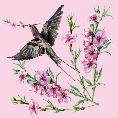 Kuş yutmak ve çiçek şeftali, suluboya, desen